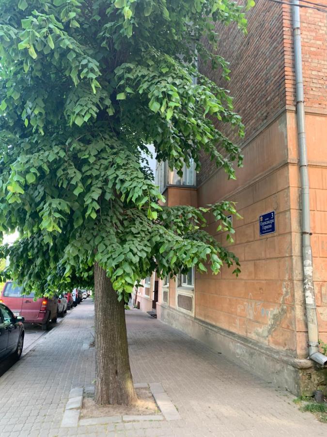 Vel Люкс Apartamento Chernivtsi Exterior foto